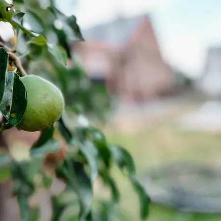 Zum Alten Birnbaum Holiday home Ruhstadt