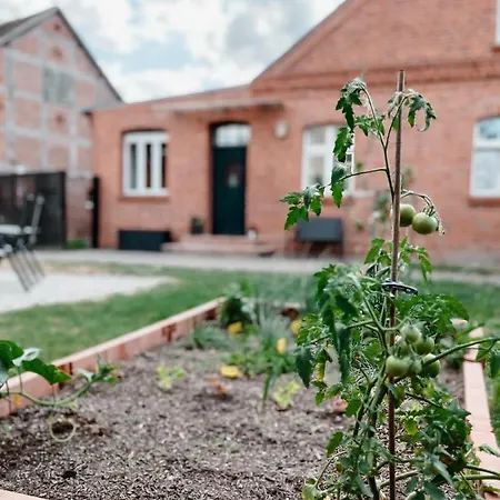 Holiday home Zum Alten Birnbaum